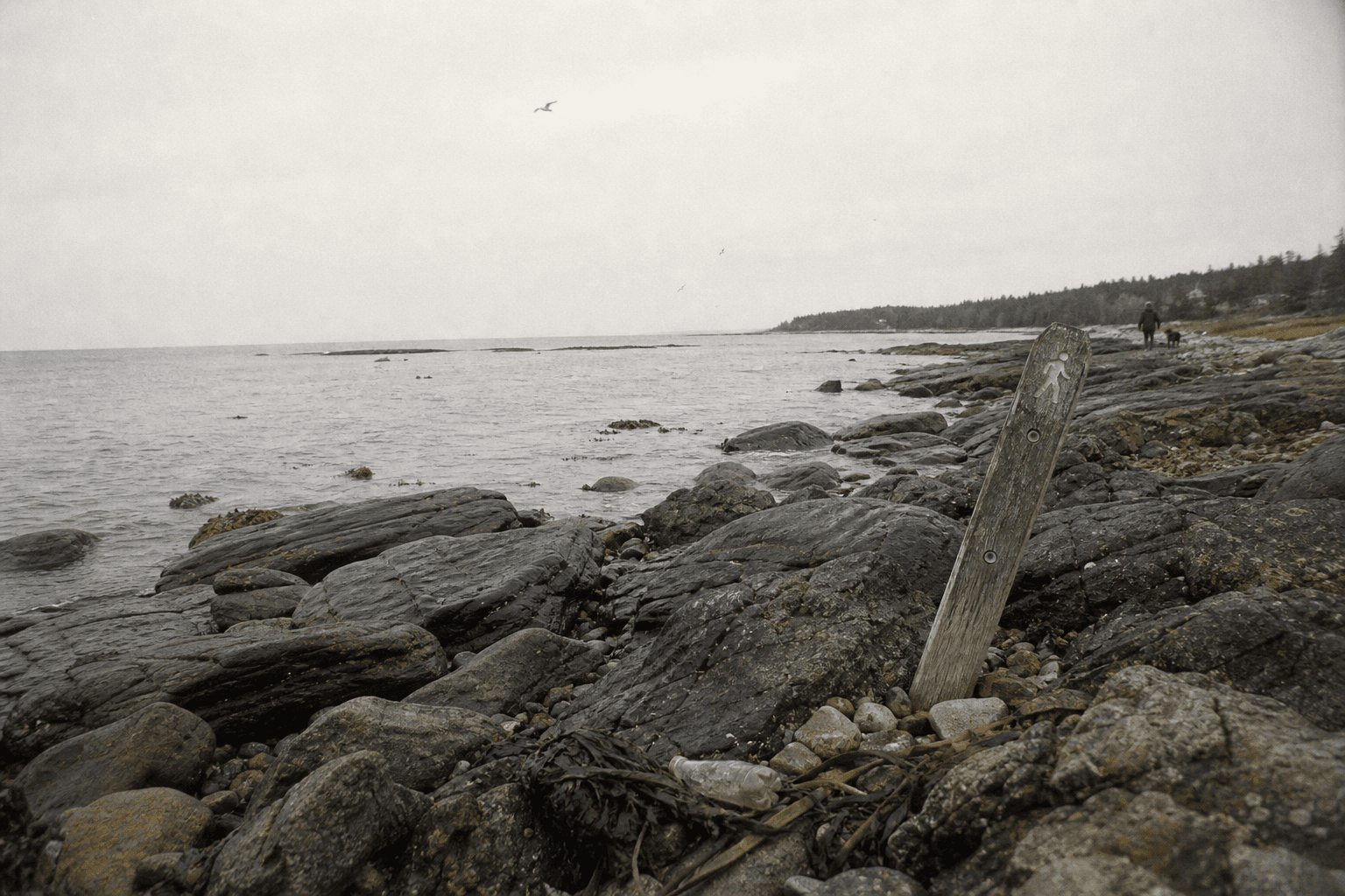 A rocky coastline on a flat, overcast day with muted color.